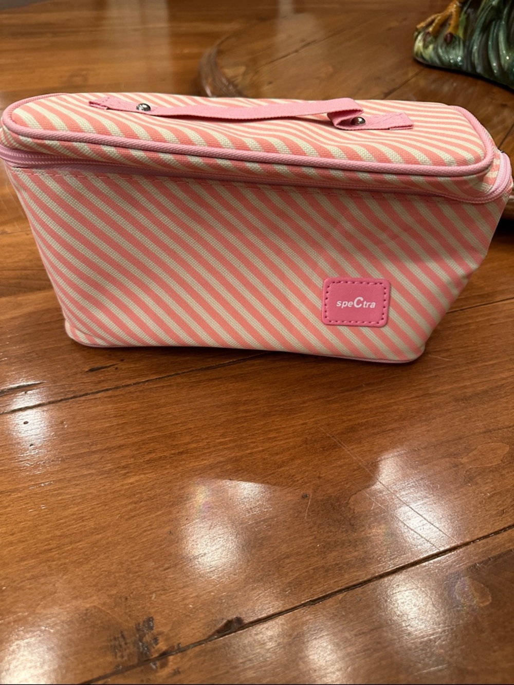 Spectra Pink Stripe Cosmetic/Travel Bag/cooler